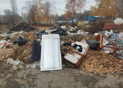 Ул. Аэродромная г. Борисоглебска стала «зоной мусора» : кто виноват?