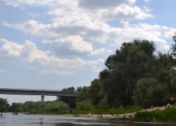В реке на пляже в Новохоперске обнаружили холероподобные вибрионы