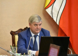 Губернатор Воронежской области обещал рассмотреть послабления учреждениям культуры и спорта