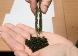 Среди школьников Воронежской области увеличилось употребление насвая