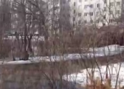 Затопленный двор в Борисоглебске сравнили с Венецией