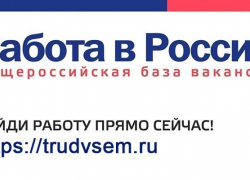 Борисоглебцам стало проще найти работу