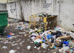 О мусорной проблеме рассказали порталу «Блокнот Борисоглебск» наши читатели