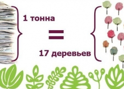 Воронежцы спасают 7 деревьев каждый месяц вместе с «Ростелекомом»