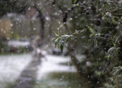 Мороз и сильный ветер ожидаются на этих выходных в Воронежской области