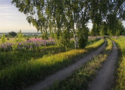 Что борисоглебцам готовит июнь