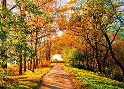 Новая рабочая неделя порадует борисоглебцев теплой погодой