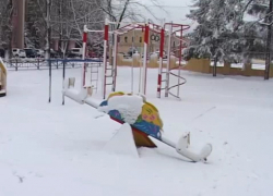 Мокрый снег и сильный ветер: МЧС  Воронежской области  предупреждает жителей региона