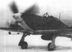 В Воронежской области нашли сбитый в 1942 году самолет и останки летчика