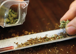 Любитель марихуаны  из села Чигорак получил условной срок 