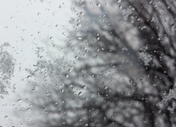 Снегодождь накроет Воронежскую область на фоне температурных качелей