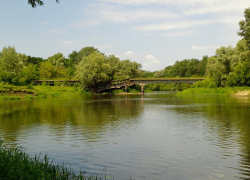 Жара и небольшие дожди придут на новой неделе в Борисоглебск и соседние районы