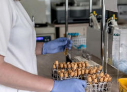 От каких болезней и в каком количестве умирают жители Воронежской области в сравнении с COVID-19