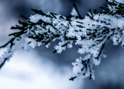 За неделю из-за обморожения 28 человек обратились за медицинской помощью в Воронежской области