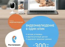 Домашнее видеонаблюдение от «Ростелекома» в один клик и по специальной цене – акция продлена до конца весны