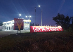 Топиар-фигуры на въезде в Борисоглебск теперь видны и ночью