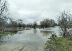 В Воронежской области из-за паводка остаются затопленными 5 мостов