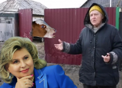 Главного омбудсмена РФ призвали защитить новохоперскую пенсионерку, кормившую коров коноплёй