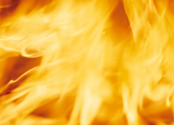 В Борисоглебске сгорела надворная постройка