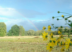 Провожаем лето: последний день августа будет жарким