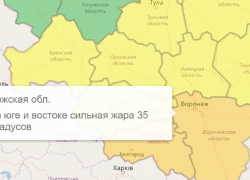Оранжевый уровень опасности объявили в Воронежской области из-за очень высокой температуры