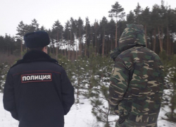 Четверых новогодних лесорубов поймали в праздники в лесах Воронежской области 