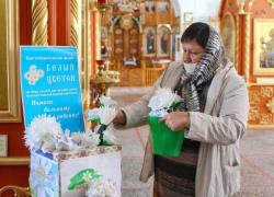 Сбор денежных средств на помощь больным детям начался в Борисоглебске 