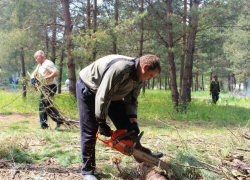Чиновники Грибановской администрации  взялись  за бензопилы и газонокосилки