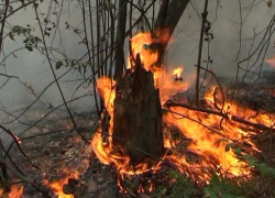 Воронежская область усиленно готовится к пожароопасному сезону 	