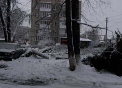 В Борисоглебске жители нескольких улиц остались без света из-за оледенения и снегопада