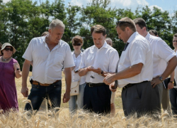 Губернатор Воронежской области прогнозирует хороший урожай зерна