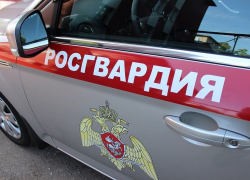 В Борисоглебске пропавшую трехлетнюю девочку нашли рядом с трассой