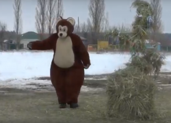 В Новохоперске на Масленице танцевал медведь 