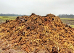 В Терновском районе сельхозпредприятие заплатит штраф за загрязнение почвы навозом