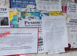 Жителей Воронежской области предупредили о расклейке фейковых объявлений