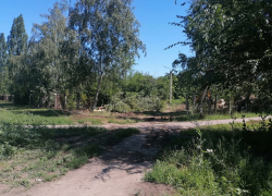 В Борисоглебске ради «благоустройства» уничтожили школьный сад