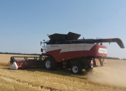 Борисоглебские аграрии не сбавляют темпы уборочных работ 