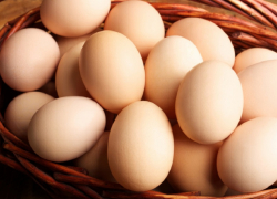 Цены на яйца снова слегка понизились в Воронежской области