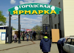 Почему на Борисоглебской сельскохозяйственной ярмарке стало дешевле покупать продукты