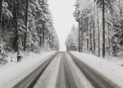 Сильные снегопады и морозы снова придут в Воронежскую область