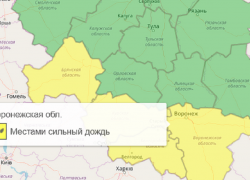 Желтый уровень опасности объявлен в Воронежской области из-за сильных дождей