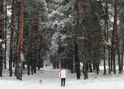  Настоящая зима пришла в Воронежскую область под занавес зимнего календаря