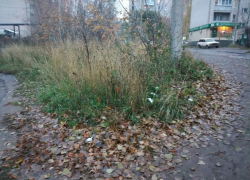 В ТСЖ Юго-Восточного микрорайона Борисоглебска клич Гордеева услышан не был