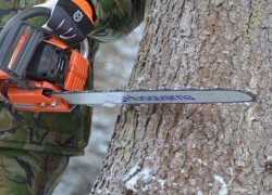 Поставка контрафактных бензопил в «Воронежский лесопожарный центр» закончилась уголовным делом