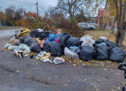 В Борисоглебске вводят «туристический налог»