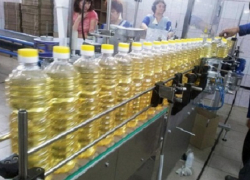 Мужчина отсудил у «Борисоглебского маслоэкстракционного завода» 250 тыс. рублей за производственную травму