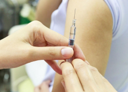 137 жителей Борисоглебского округа обратились в этом году за иммунизацией против бешенства