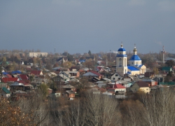 Борисоглебский городской округ стал лидером по развитию в области