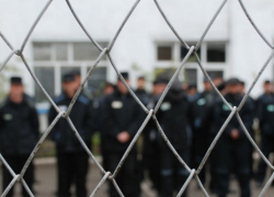 В Воронежской области снизилось количество осуждённых преступников