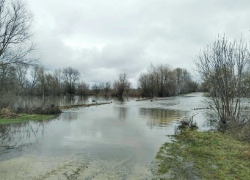 Движение по низководному мосту через Ворону закрыли в Грибановском районе